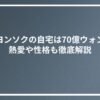ユヨンソクの自宅は70億ウォン？熱愛や性格も徹底解説