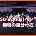 スキズ　StrayKids