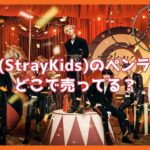 スキズ　StrayKids　ペンライト